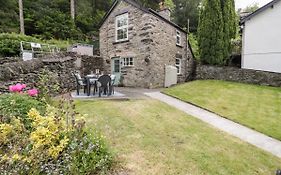Bron Celyn Bach